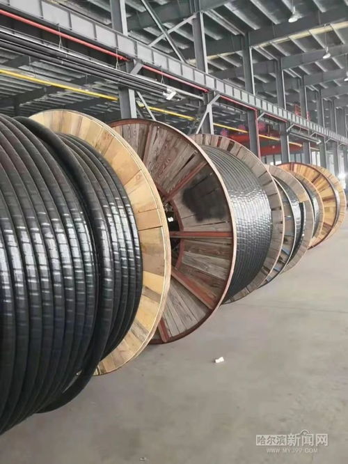 哈尔滨电缆通全国 哈缆新产品传递哈尔滨制造重要信号