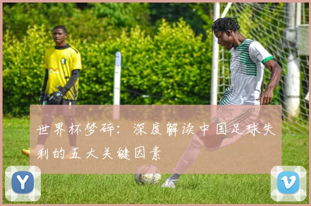 世界杯梦碎：深度解读中国足球失利的五大关键因素
