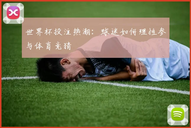 世界杯投注热潮:球迷如何理性参与体育竞猜