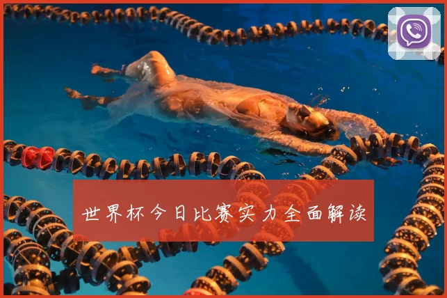 世界杯今日比赛实力全面解读
