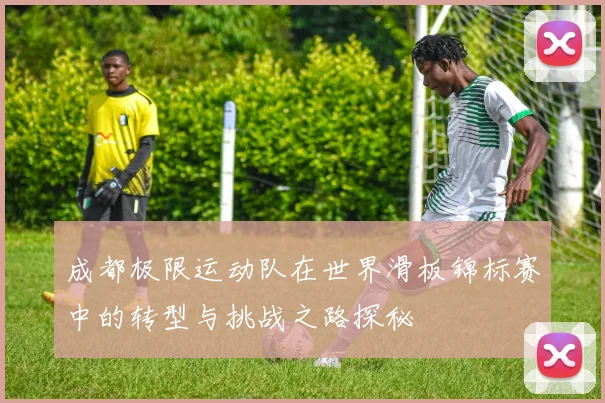 成都极限运动队在世界滑板锦标赛中的转型与挑战之路探秘