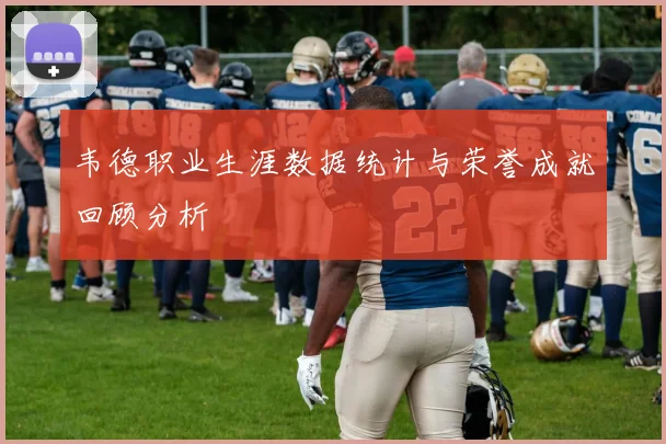 韦德职业生涯数据统计与荣誉成就回顾分析
