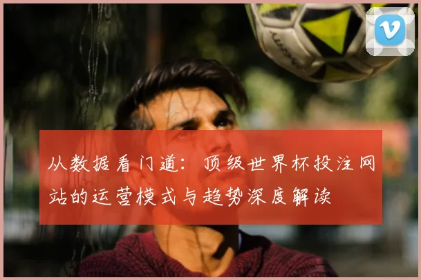 从数据看门道：顶级世界杯投注网站的运营模式与趋势深度解读