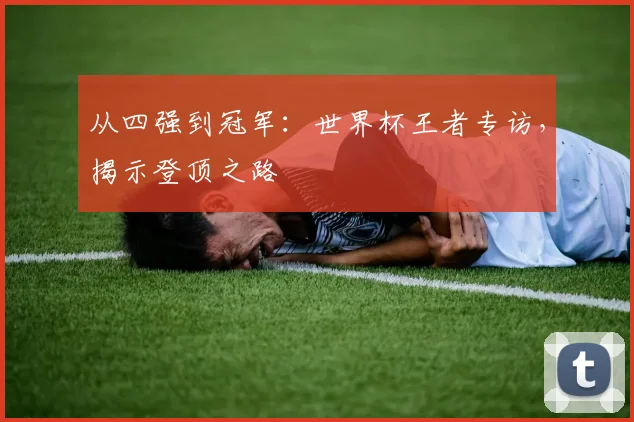 从四强到冠军：世界杯王者专访，揭示登顶之路