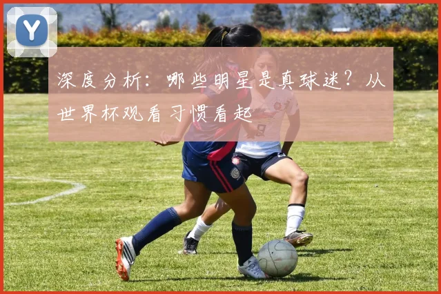 深度分析:哪些明星是真球迷?从世界杯观看习惯看起