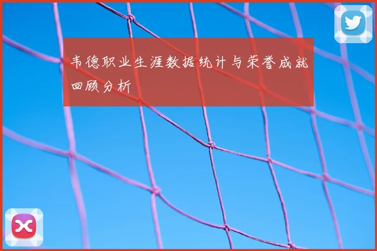 韦德职业生涯数据统计与荣誉成就回顾分析