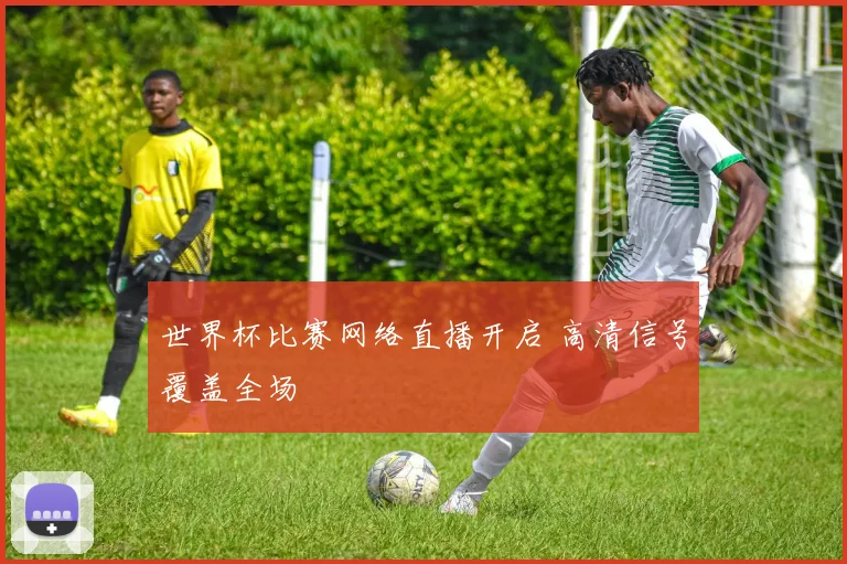 世界杯比赛网络直播开启 高清信号覆盖全场