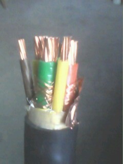 变频器专用电力电缆 BPYJVPP2-3×25+3×4 价格解析与选购指南