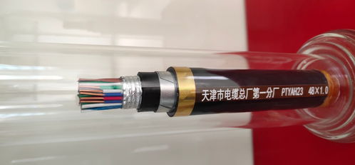 PTYA 48芯铁路信号电缆 铁路通信的“神经中枢”